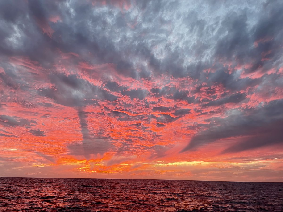 panamaposse's tweet photo. FLEET UPDATE ⦿ENJOY 
🇺🇸 🇲🇽 🇬🇹 🇸🇻 🇭🇳 🇳🇮 🇨🇷 🇵🇦 🇪🇨 🇨🇴 🇯🇲 🇰🇾 🇧🇿 🇹🇨 🇧🇸 🇨🇺 🇩🇴

YOU ARE INVITED 
FREE Upcoming Yacht Party in Belize
Pictures of the Week 📷 
Long Term Planning 🌀 E Pacific Hurricane season
 
https://t.co/A1DZ9vypxg 
#panama_posse
#belizetourism
#placenciayachtclub https://t.co/PYESTAFpuG