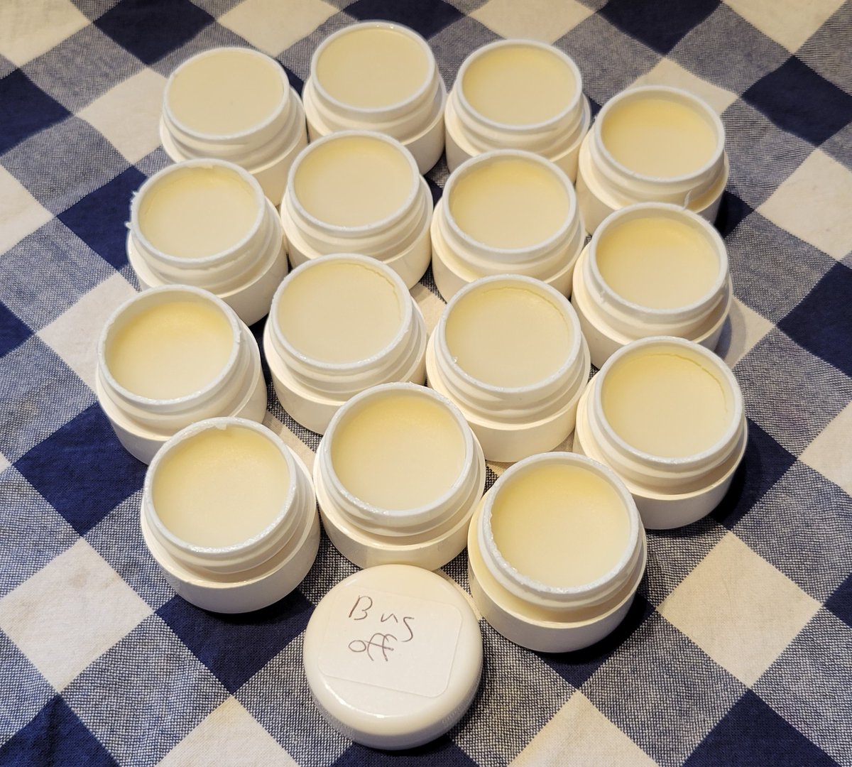 My other passion is all about natural remedies. Our first attempt at bug repellent. 🦟