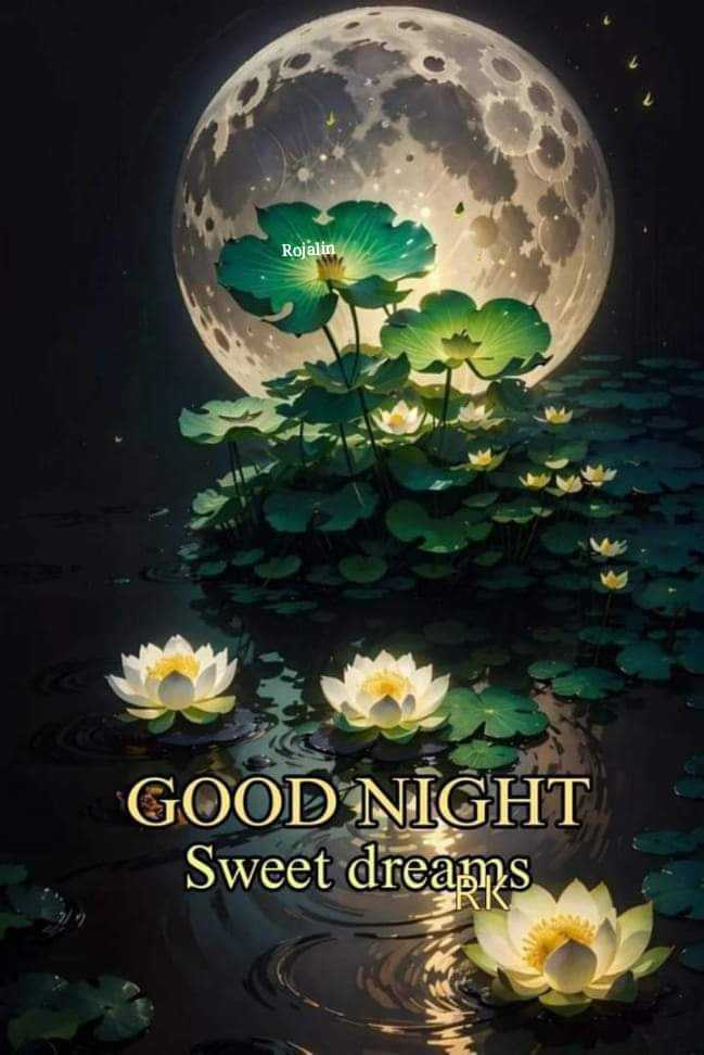 Mahmona2580's tweet photo. Aslamo alikum
good night  heva good day🩶 https://t.co/fLIqMCKzee