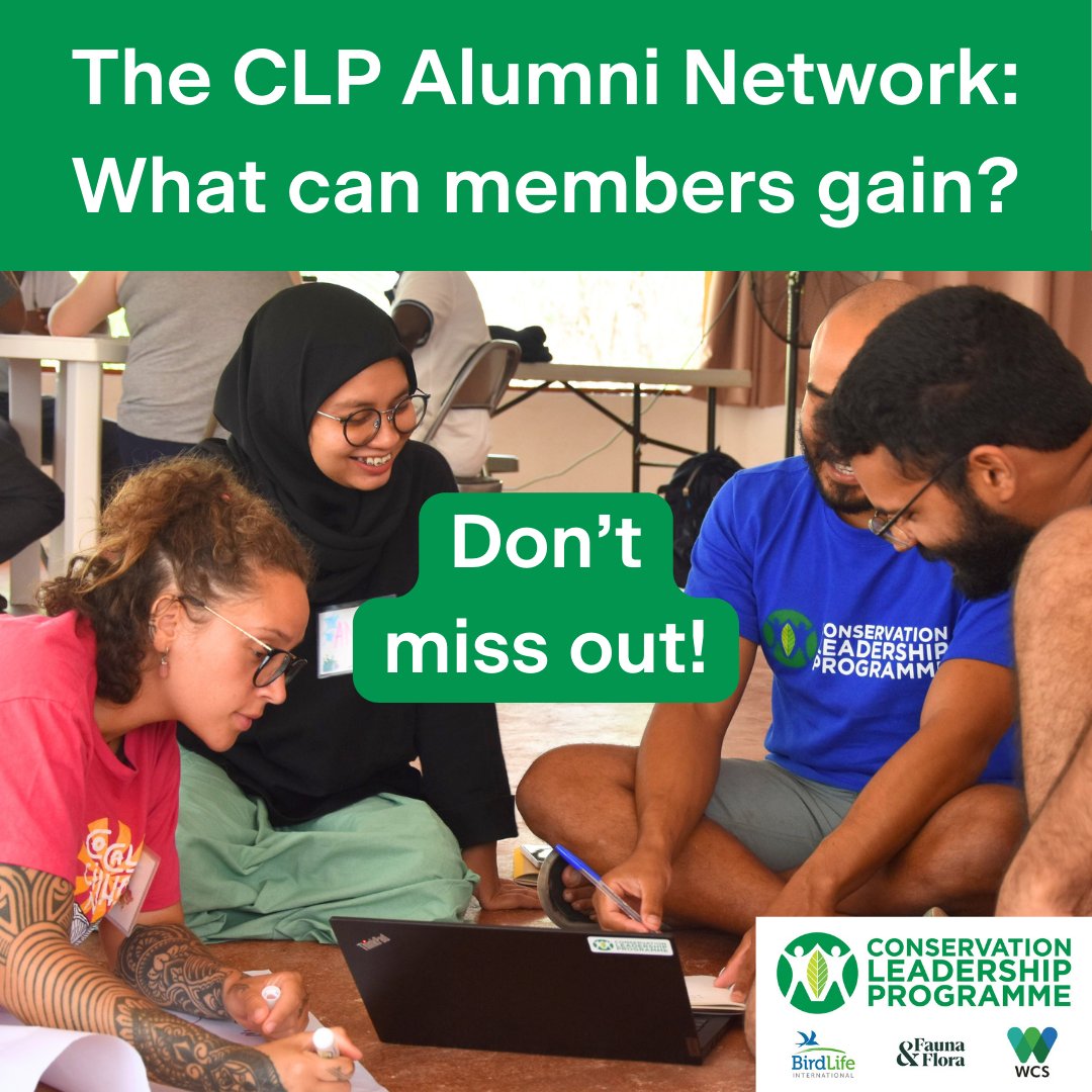 📢Calling members of the CLP Alumni Network #WeAreCLP ! 👀Don't miss out on the benefits you are entitled to! 👩‍🎓 Grants, networking and training ✍ Dedicated staff and mentors in our partner orgs 👉 Tell us how to contact you and spread the word: lnkd.in/gucxTNJb