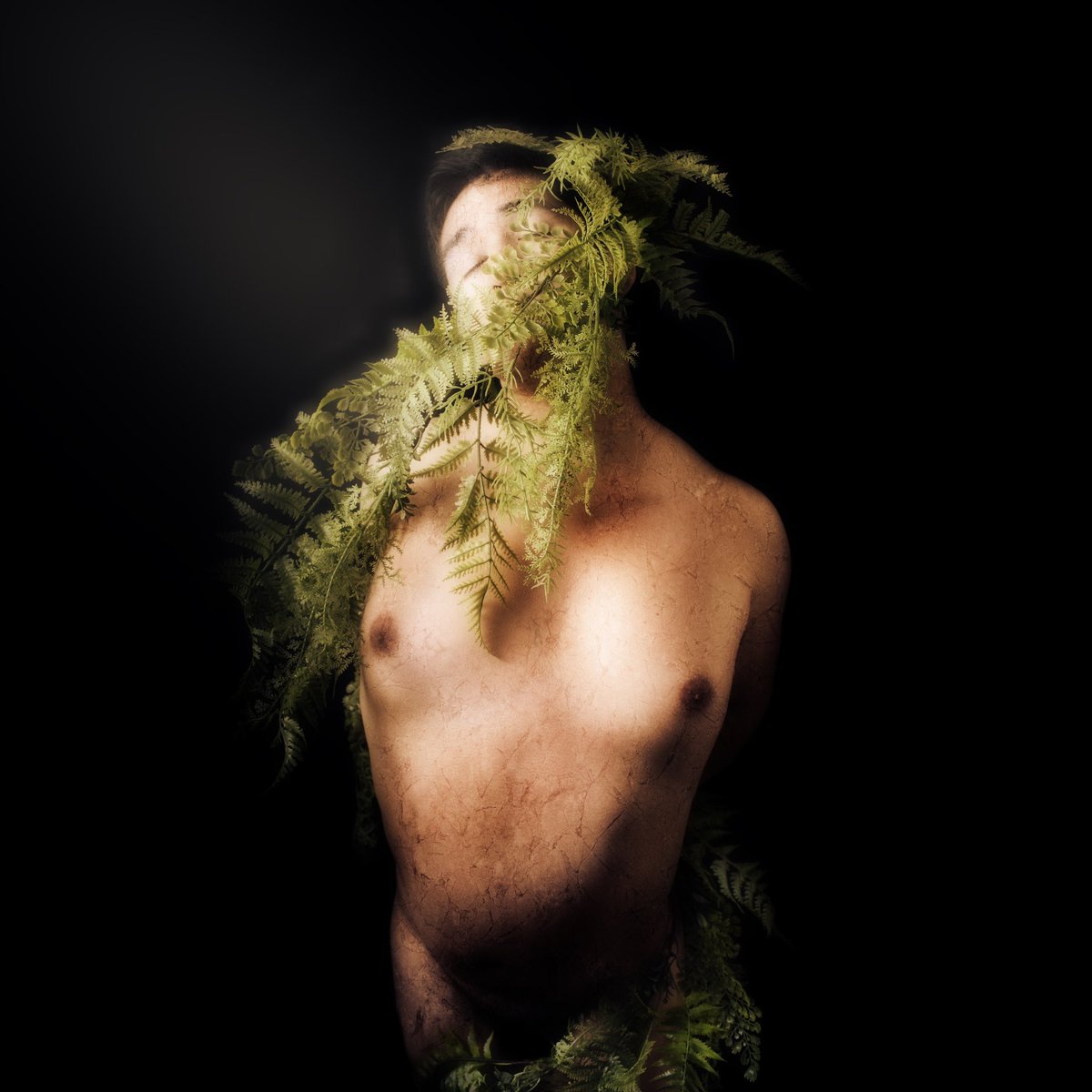 RafaelFloresPhotography (he/him) tweet media