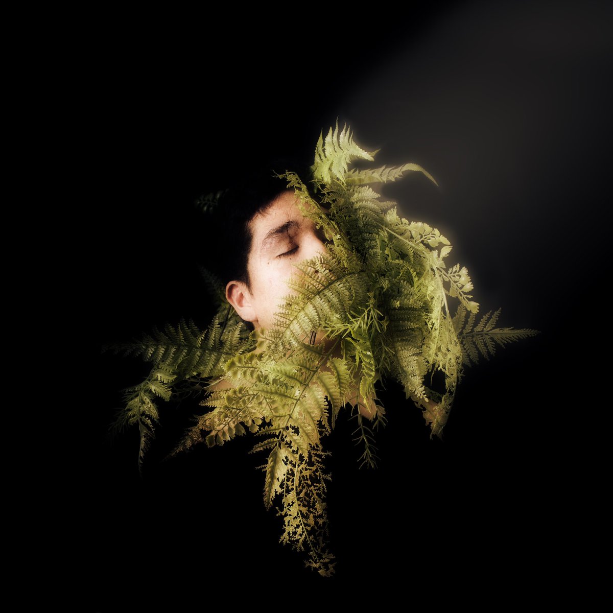 RafaelFloresPhotography (he/him) tweet media