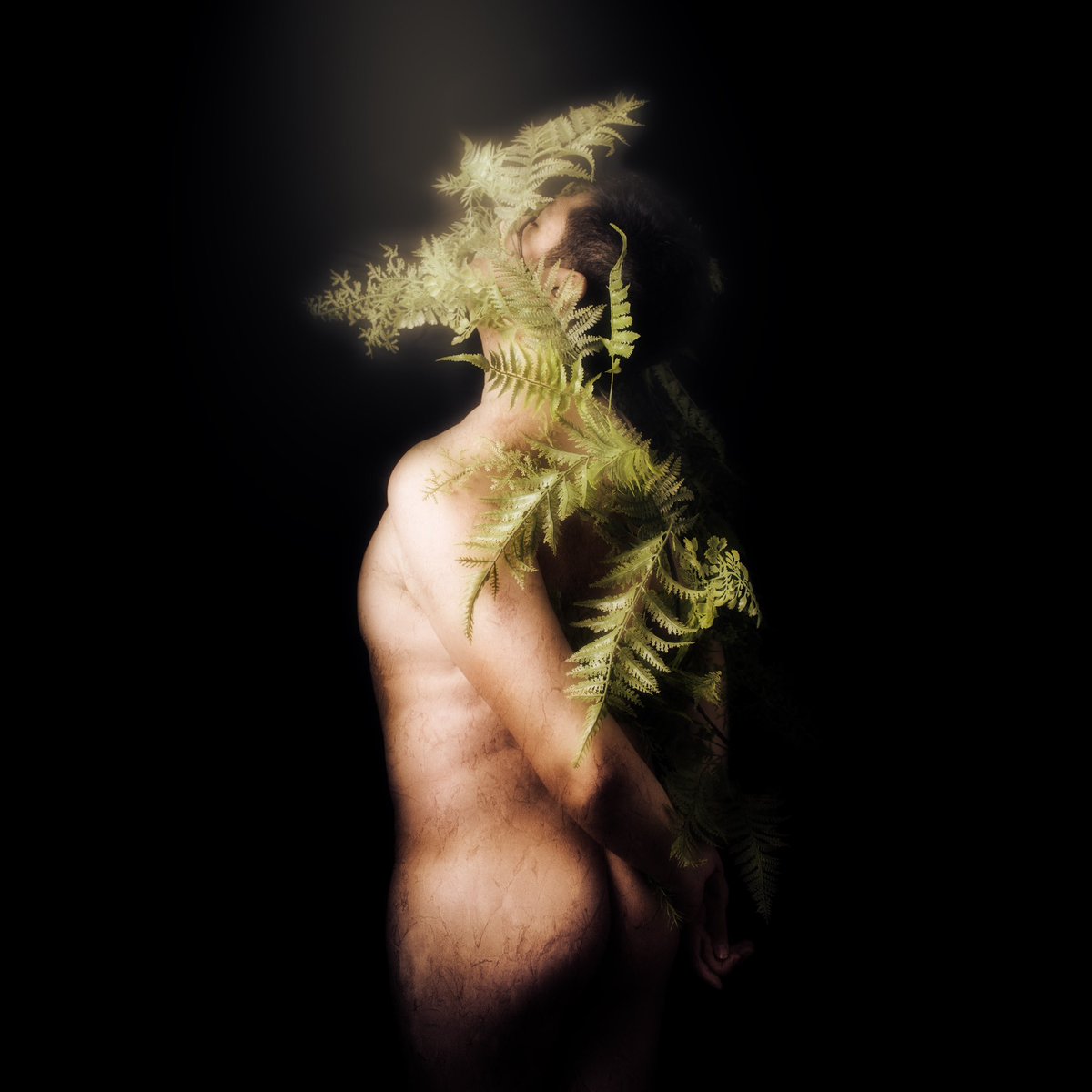 RafaelFloresPhotography (he/him) tweet media