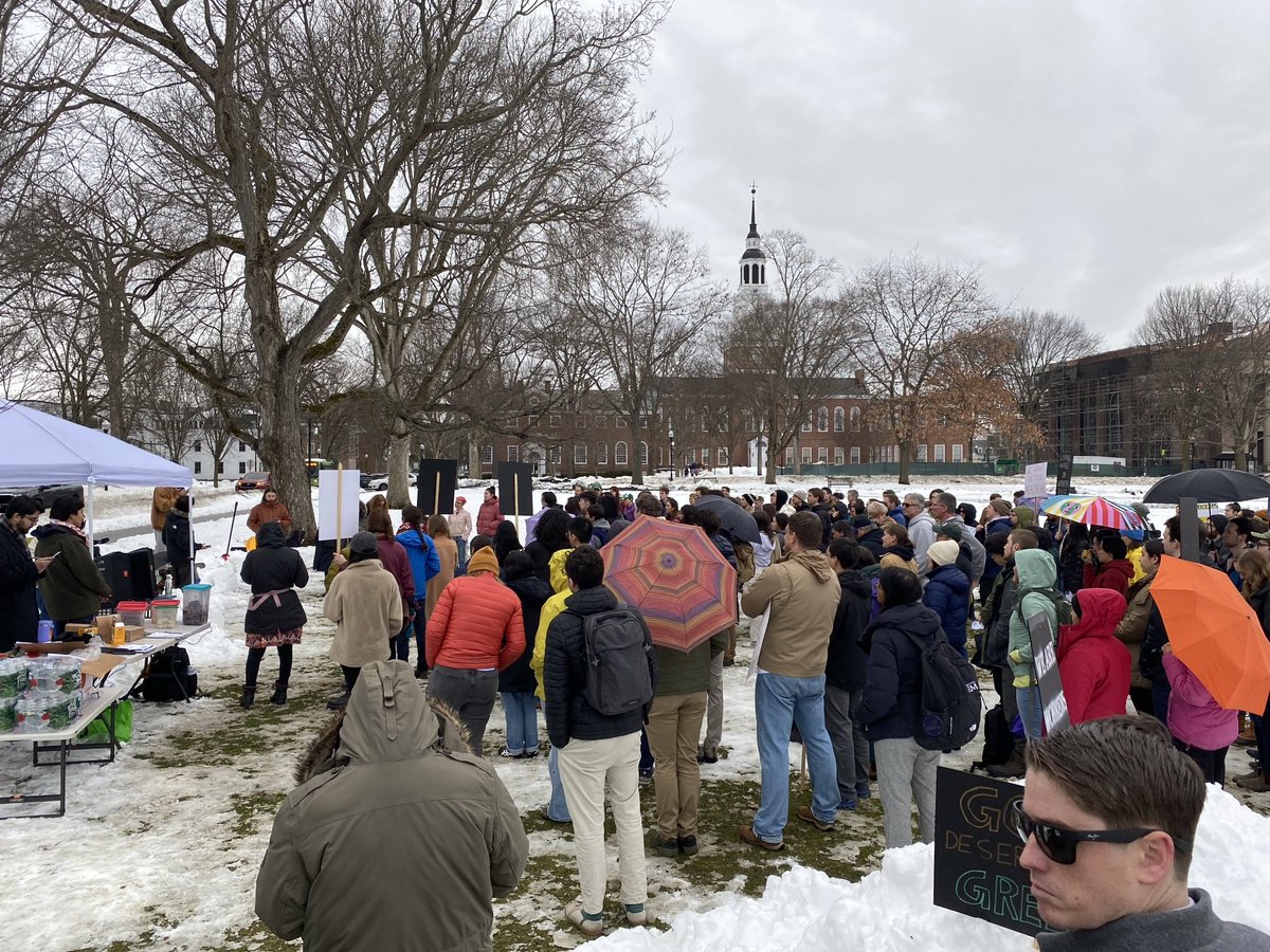 Mark Hayward tweet media