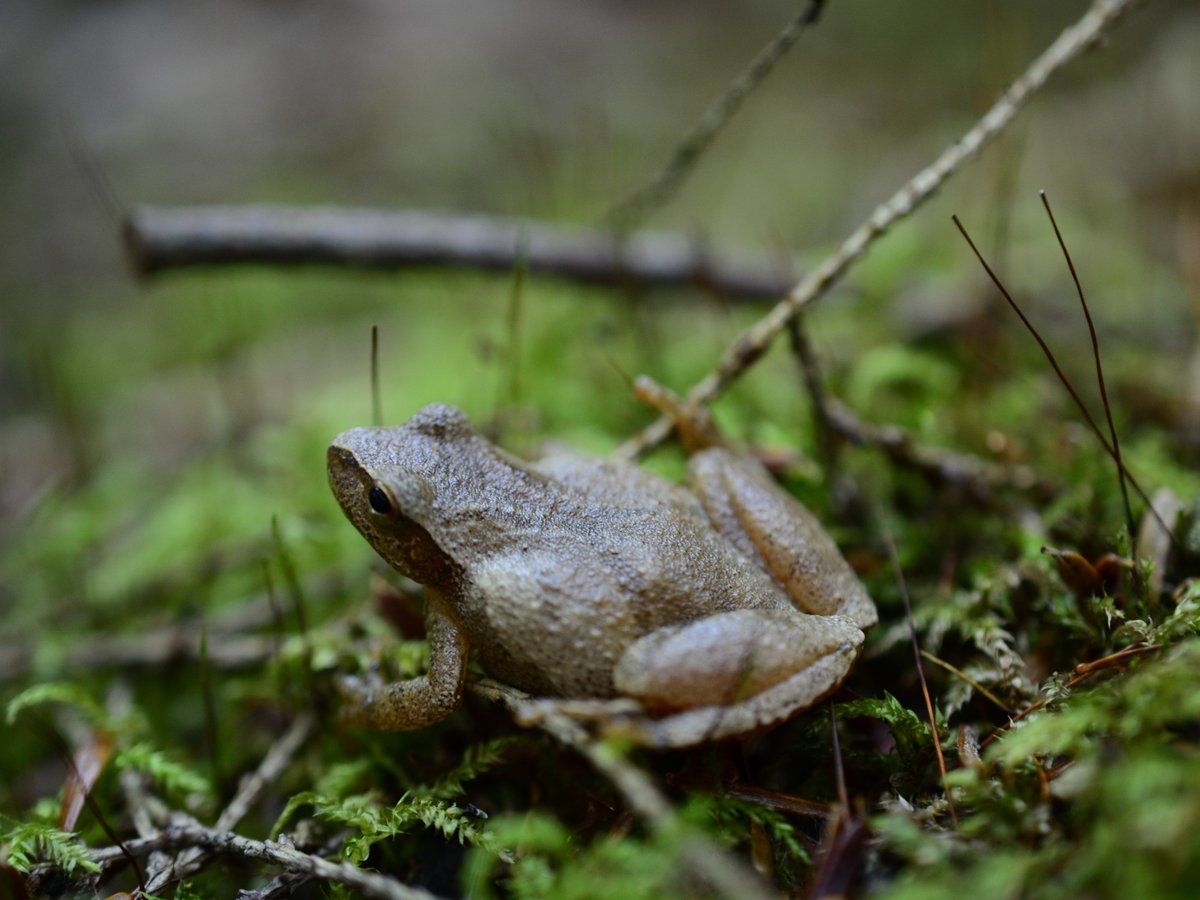 OntarioParks tweet picture