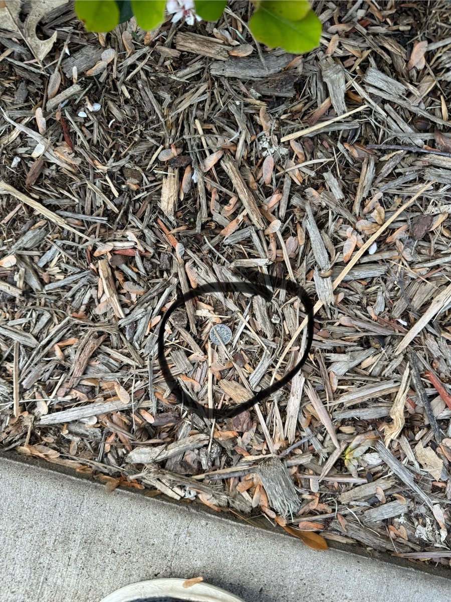 Another surface find.