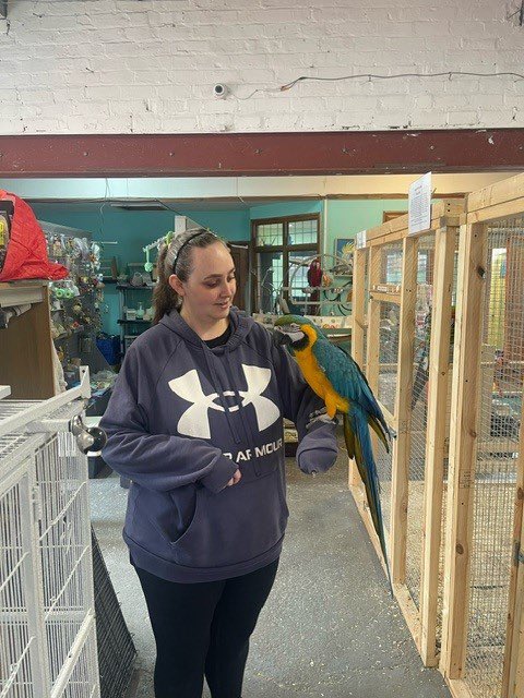 Mockingjayy09's tweet photo. I guess I’m a bird person now https://t.co/uPVzSVZLU0