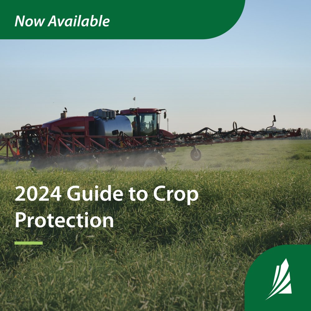 Sask Agriculture tweet media