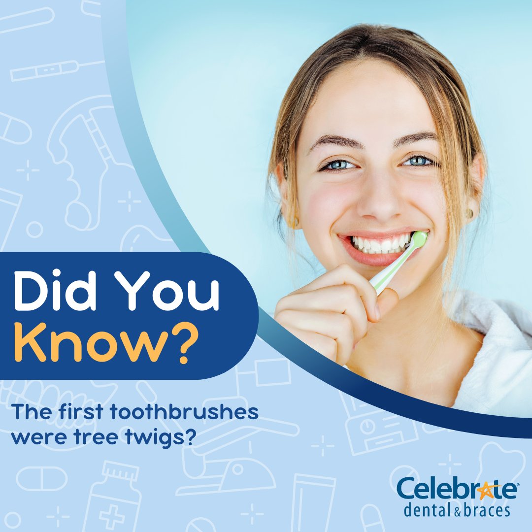 CelebrateDent's tweet photo. Did you know that the first toothbrushes used were made of tree twigs? 🌲 Chewed twigs would help keep teeth clean with their fibrous ends! https://t.co/R35UVT68tS