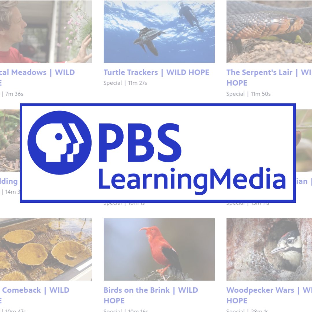 BTPMPBS's tweet image. If you aren&apos;t using #PBSLearningMedia, you&apos;re MISSING OUT!👀 We want to help level up your classroom by providing teachers an in depth look into the resources and curriculum surround the series #WildHope.
