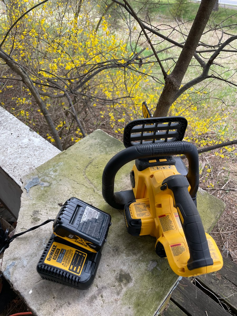 DominaVontana's tweet photo. Baby’s 1st chainsaw. I am so beat. Fell my first tree legs ache my arms feel like electricity. Saved a few fruit trees and eliminated half a dozen giant thorn bushes. When I get in country mode? Ain’t no stopping 🤠 just like the dungeon 😈#borncountry #countrygirl #mountainmama https://t.co/oToCxRsEFc