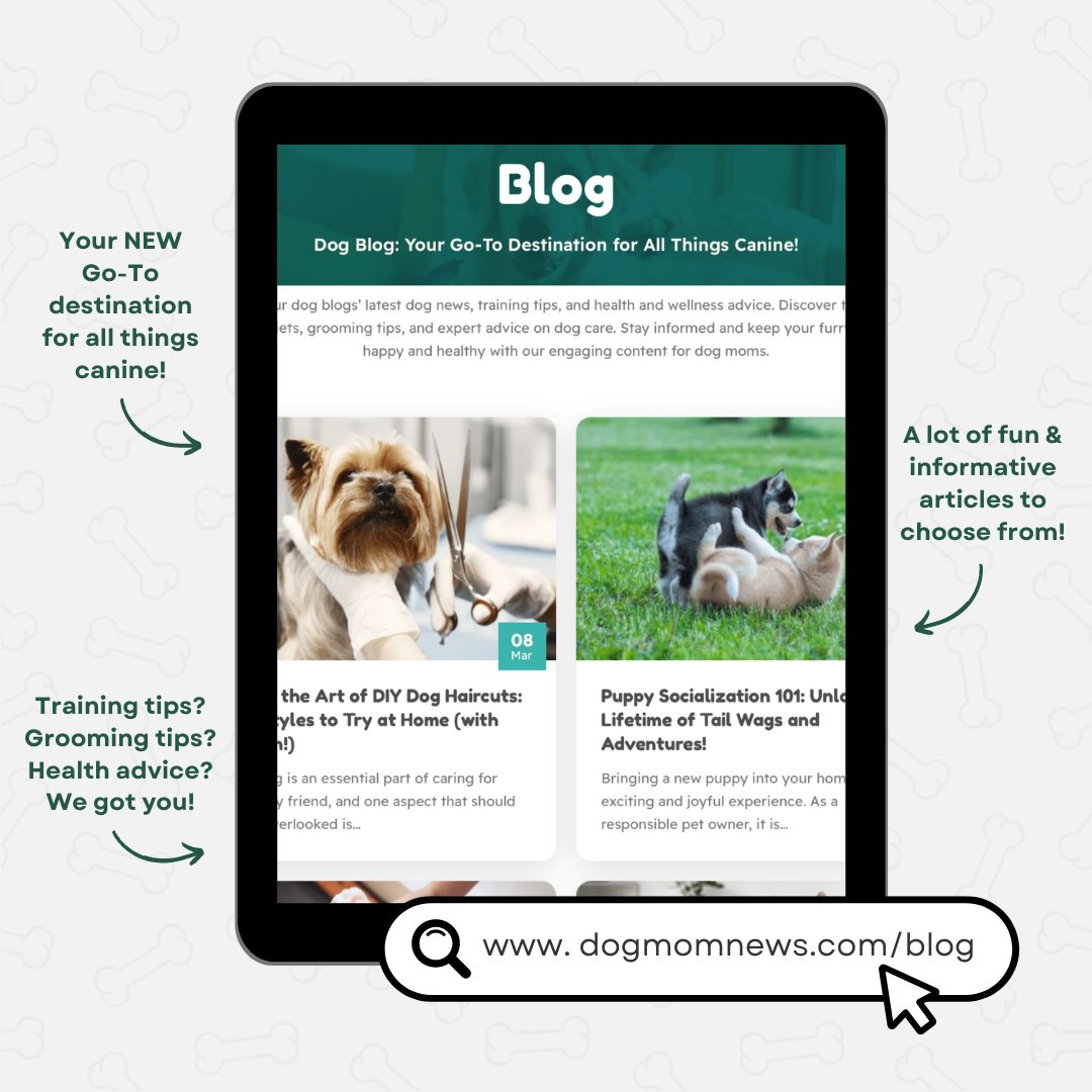 DogMomNews's tweet photo. Our website is a treasure trove of informative articles on grooming, training, health &amp; wellness, and even more!

We're dedicated to helping you become the best dog mom you can be!  💚

Check out the link below to explore our resources.  https://t.co/7VIstWfM9p https://t.co/zZoPII6Lq5