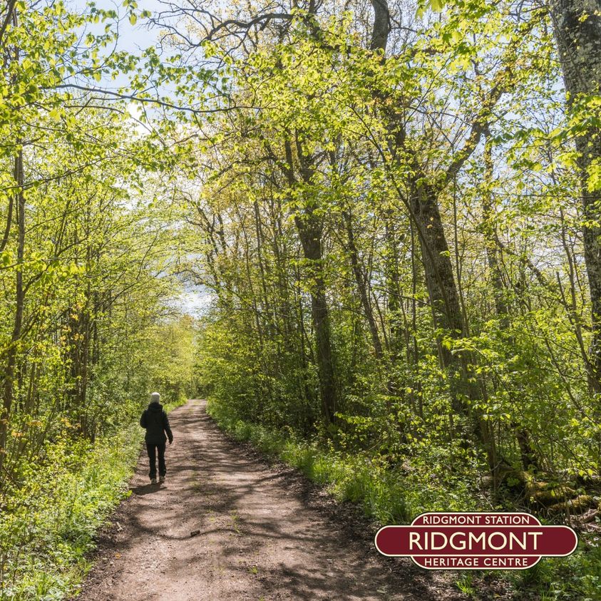 For some Easter holiday fun, why not catch the train on the Marston Vale line and explore one of our walks? Visit our website for more info: bit.ly/3Sktqa7 @marstonvalecrp #Ridgmontheritage #Ridgmontstation #MVCRP #communityrail #MarstonValeCommunityRailPartnership