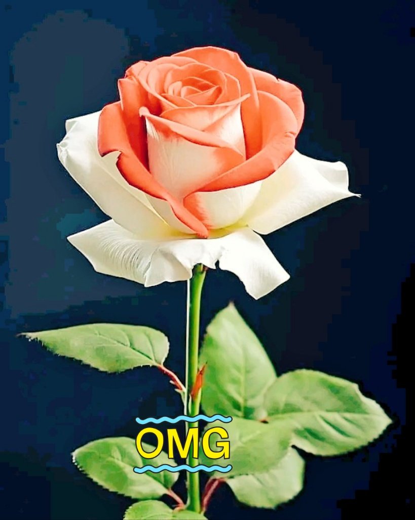 RAMBRIK15527186's tweet photo. @ArchanaUpadhy https://t.co/ihz2scNaZr