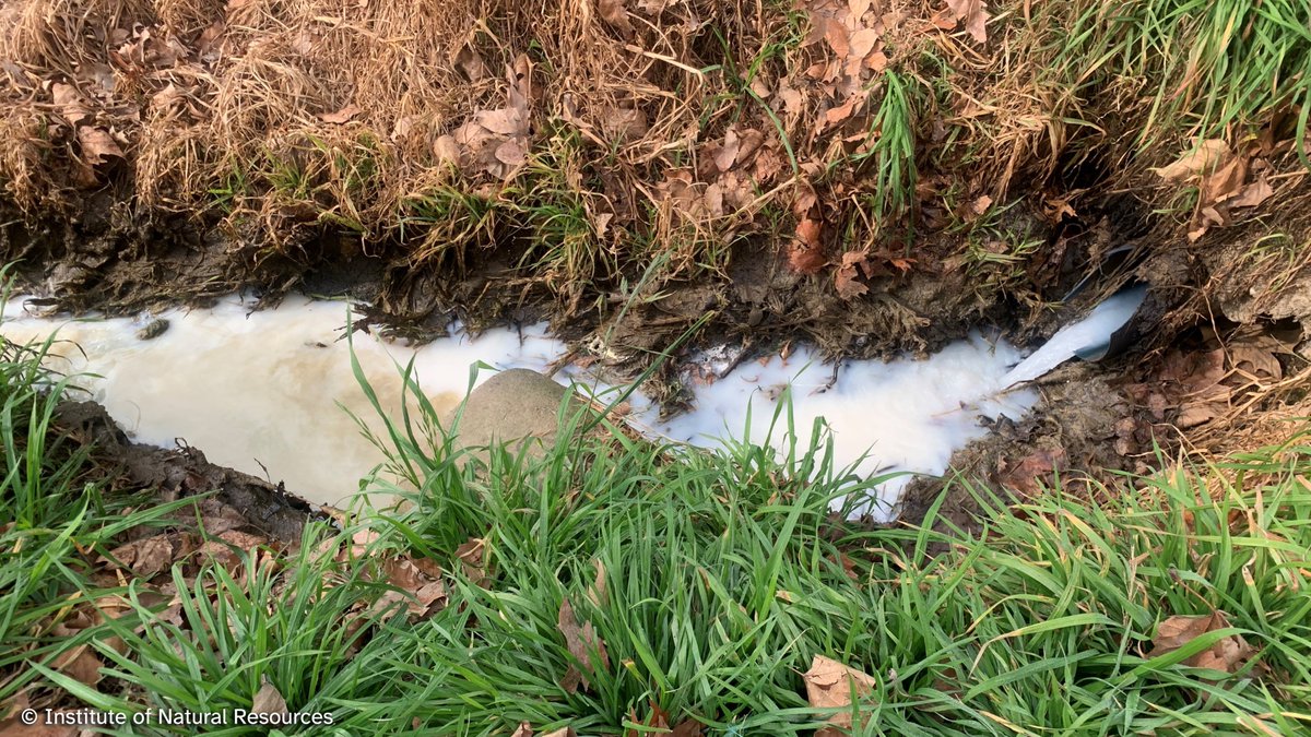 JNCC_UK's tweet photo. 🌿 A creative project is using microalgae as a sustainable treatment for dairy #wastewater management in 🇿🇦 South Africa

#PollutionAction #ForNaturePeoplePlanet #EnvironmentalResearch https://t.co/k9RZGY1HxX