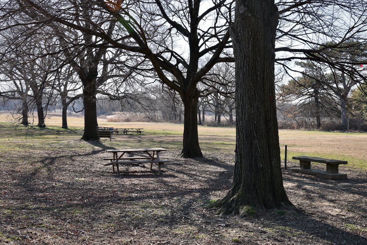 Tree clearing in FDR Park gets approval from Philly zoning board dlvr.it/T4hvfz