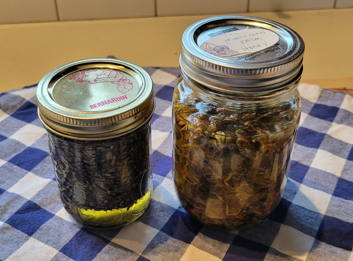 My second batch of lavender &amp; rosemary salve and my first with calendula flowers with jasmine &amp; sage. 🥰