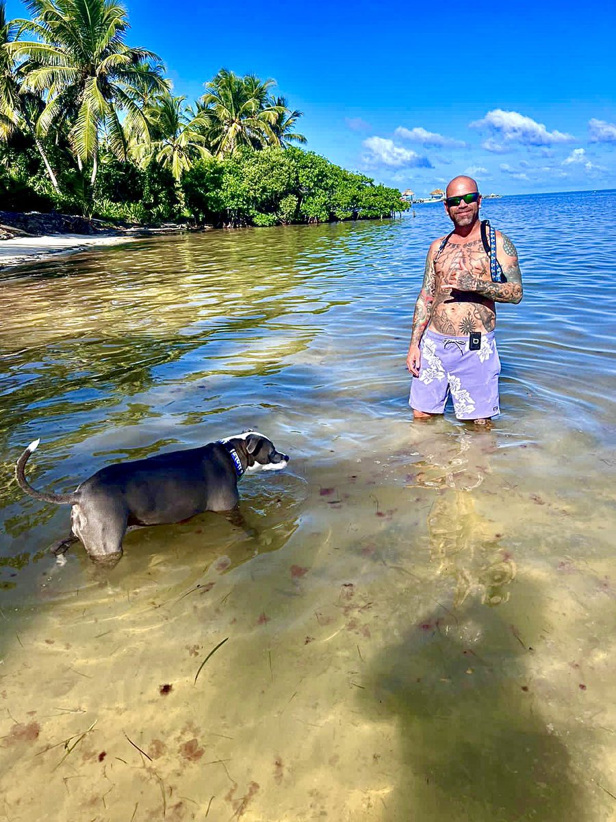 How to live on an island in the tropics. 
1. Wake up 5am
2. Drink 21oz of #water while checking @tradingview 
3. Walk my #pitbull on the beach and look out at the #mesoamericanreef while the sun rises 
4. Local eggs, veggies for #Breakfast while checking the charts 📈 
5.…