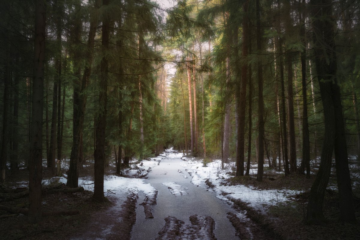 Василиса tweet media