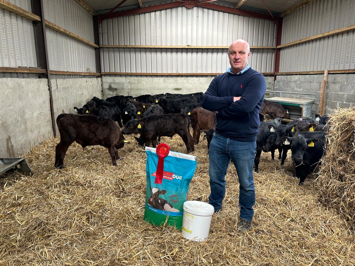 FarmsHoward's tweet photo. Great to get out to the farm of Tom Anglim in Fethard, Co Tipperary yesterday to have a look at his super Angus calves, Tom had award-winning calves last year at Cashel Mart and we are sure these will do the same. All are fed with our Agway Duo 24% milk replacer and Stir &amp; Boost https://t.co/FI7c0roEDc