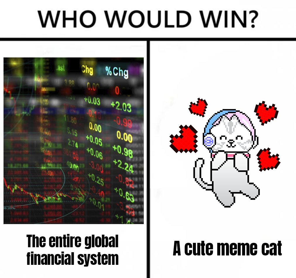 maocatcoin's tweet photo. Cute meme cat wins.
$MAO https://t.co/q5Dn6GxY5k