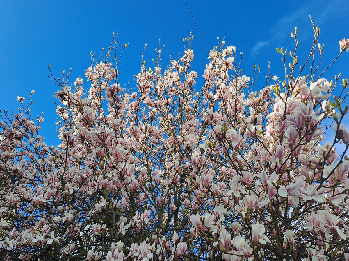 JasonForkings's tweet photo. Yes, what a beautiful spring day here in mid Wales. Yes!!! I'm lying. I just had a walk in 3 feet of mud hail snow and sideways rain. Now to clean 2 swomp dogs🤦@Ruth_ITV @DerekTheWeather https://t.co/D74cds33yB