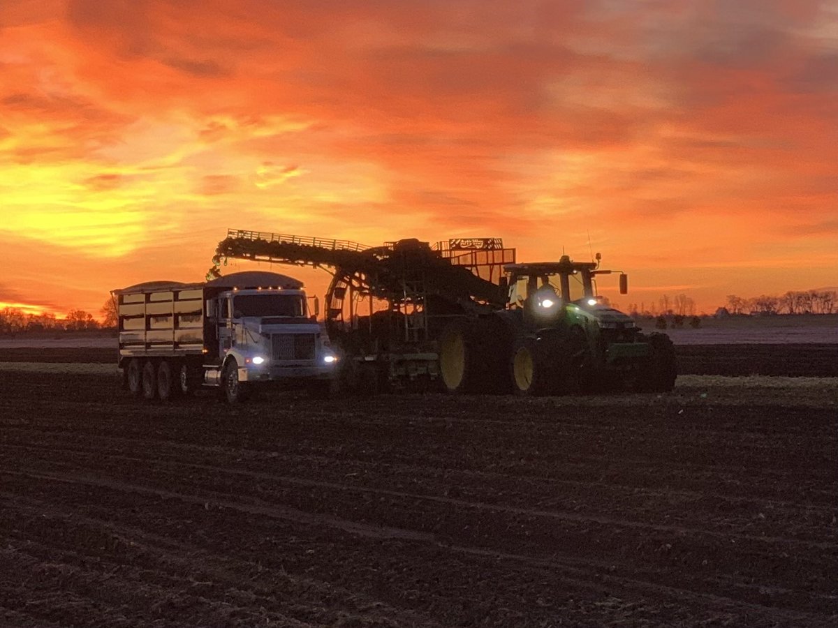 bspete58's tweet photo. @CrystalSugarCo Brian Petersen https://t.co/GdL2f0yqUf