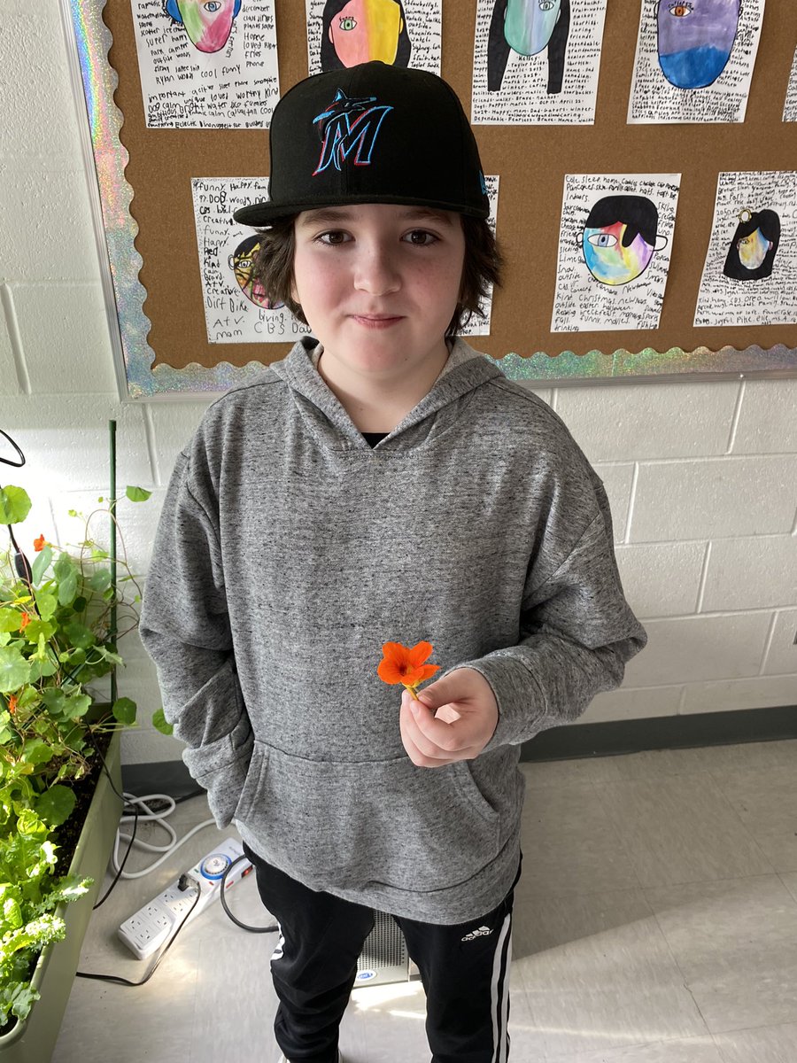 Our classroom plants are thriving 🌱🍅 did you know nasturtiums make a great recess snack? <a href="/AdmiralsAcad_NL/">Admiral’s Academy Navigators 🏳️‍🌈</a>