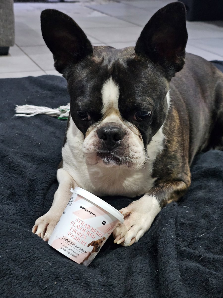 paul25_boy's tweet photo. Thanks @WOOLWORTHS_SA for getting my favorite treat back in stock https://t.co/sUzrTmOlfP