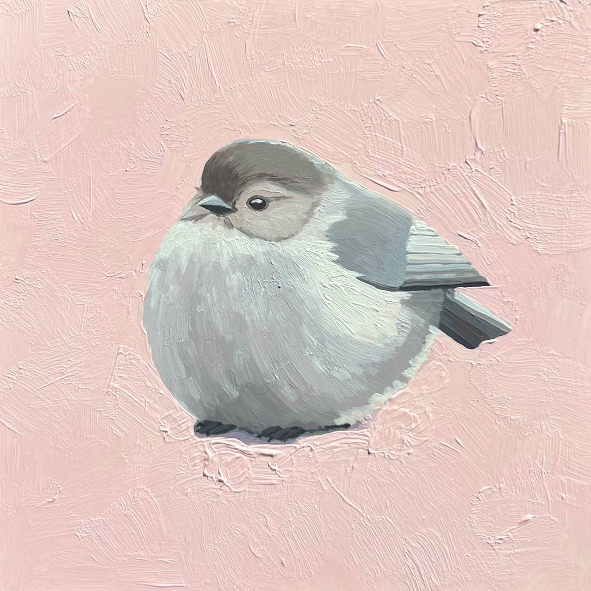 leahgardnerart's tweet photo. bushtit https://t.co/ECuDEy3DPo
