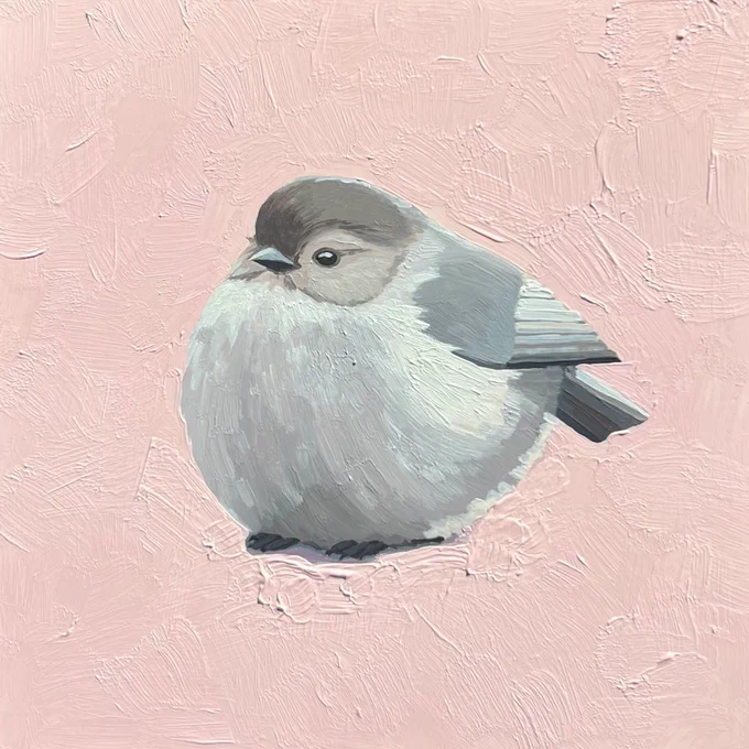 bushtit 