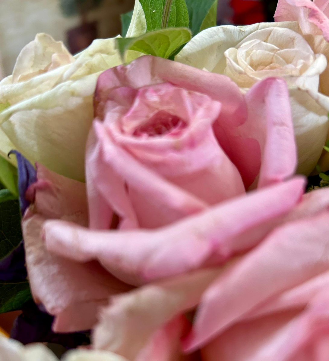 Bag_o_Lo's tweet photo. What my mother received compared to what she should have received for her birthday today via .@Waitrose Flowers are dying, snapped off and the water had been soaked up by the box, because they were tipped upside down.  I’ve emailed today but no response! https://t.co/6D5Yq7Y49a