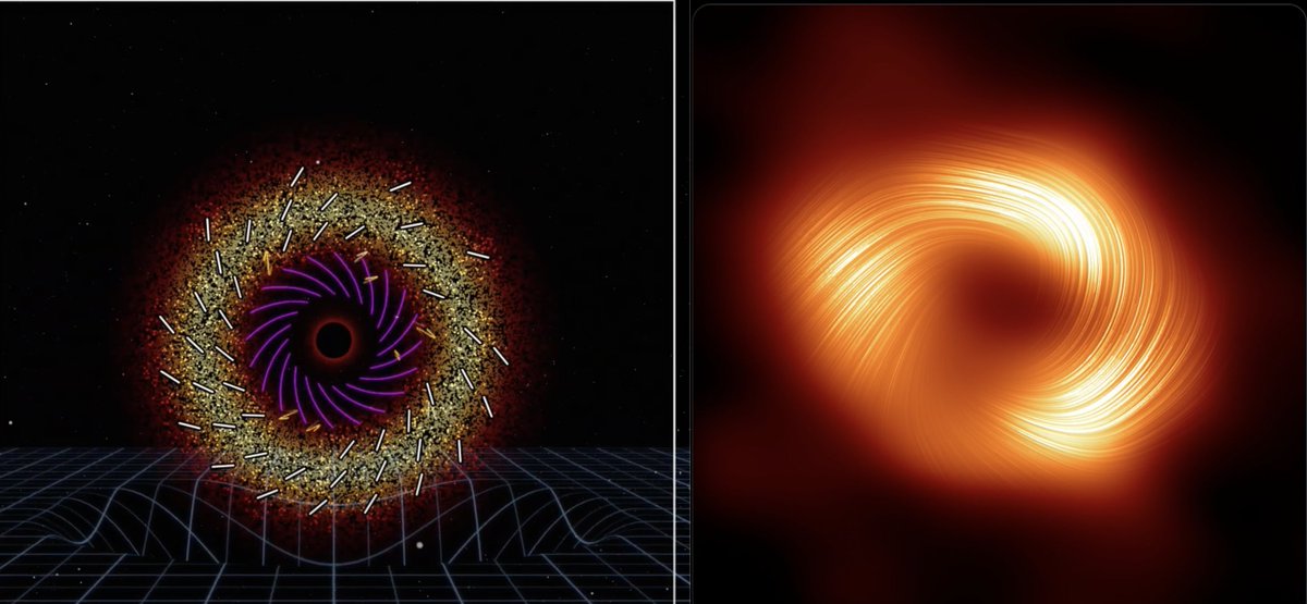 rleitonth's tweet photo. 3. El patrón de polarización de las ondas refleja el campo magnético torcido por el movimiento en espiral del gas caliente antes de entrar en las poderosas fauces gravitatorias del agujero negro Sagitario* a 224 años luz.

@astroudec  @NatGeo @apod  @LCOAstro @Fuchas_  @ESO @NASA https://t.co/QuzvhIryqV