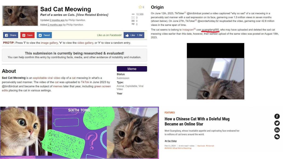 GUANGDANG $DANG 

The latest most famous cat meme, from tiktok and instagram. 

The cat from "sad cat meowing" meme.

sixthtone.com/news/1014620

knowyourmeme.com/memes/sad-cat-…

t.me/guangdangcoin

x.com/guangdangcoin

guangdang.org

CHART:
dexscreener.com/base/0x22958cc…