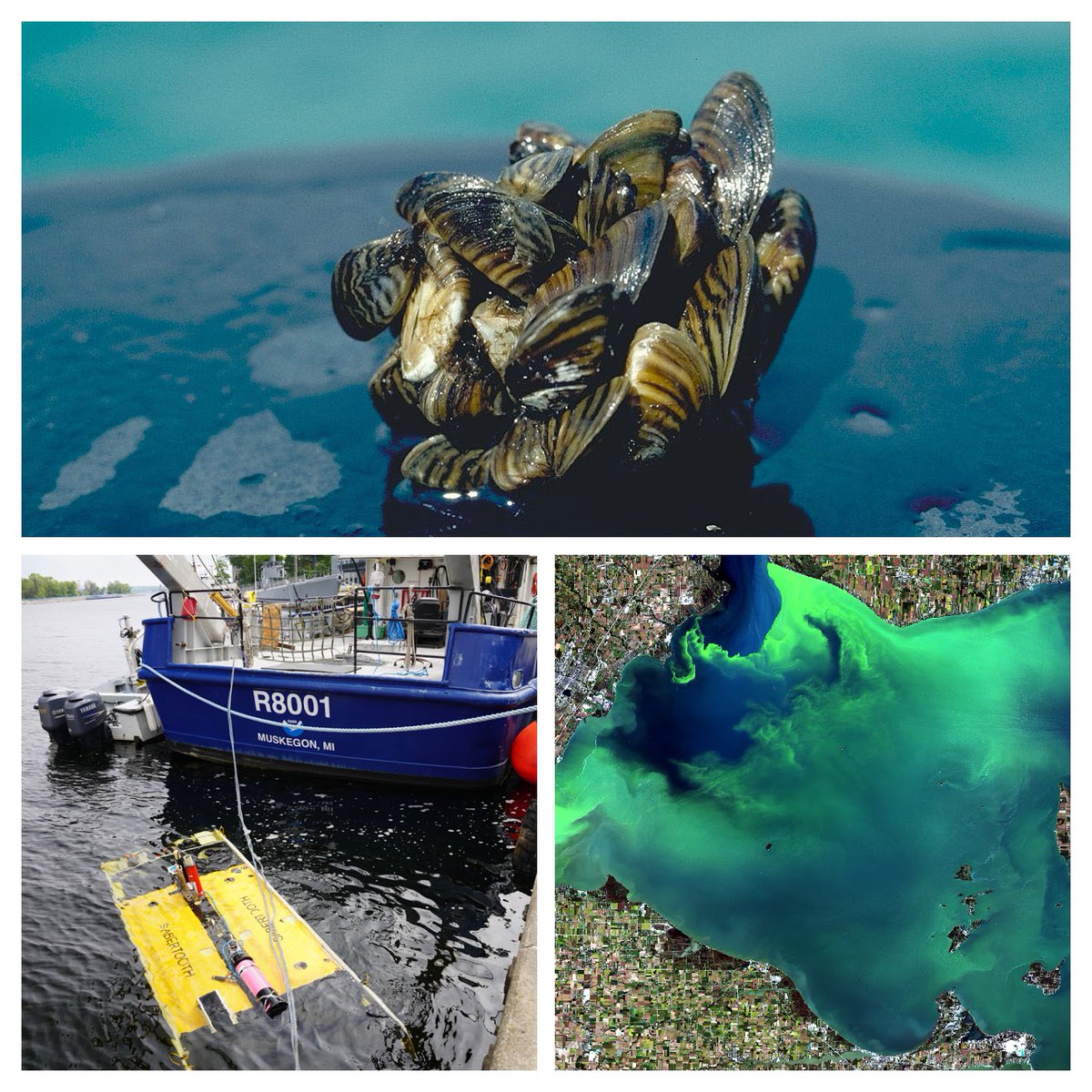 NOAAResearch's tweet photo. The 2023 NOAA Science Report is in!
From zooming into hurricanes to underwater ice robots, click on the link below to learn how @NOAA’s scientific research is improving lives & our nation’s economy in the newly released 2023 #NOAAScienceReport.
https://t.co/pQRWlecOOi https://t.co/2A2j4xLstO