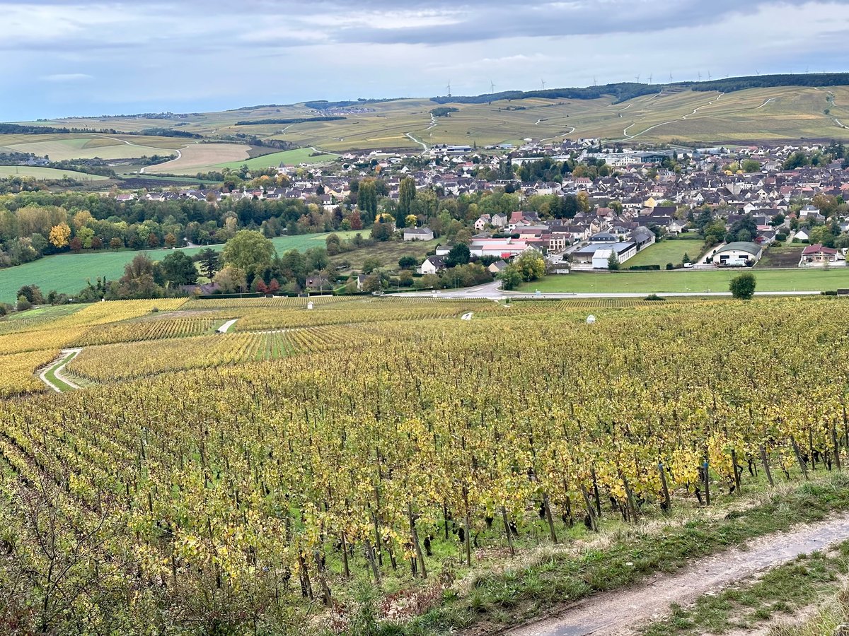 Wine Country Eats: Chablis: For such a small village, Chablis definitely isn’t short of excellent places to eat. I guess we should expect that from a country with such a renown gastronomic scene. We spent a magical few… bit.ly/3TSrTw9 by @allison_wallace #vino #wine