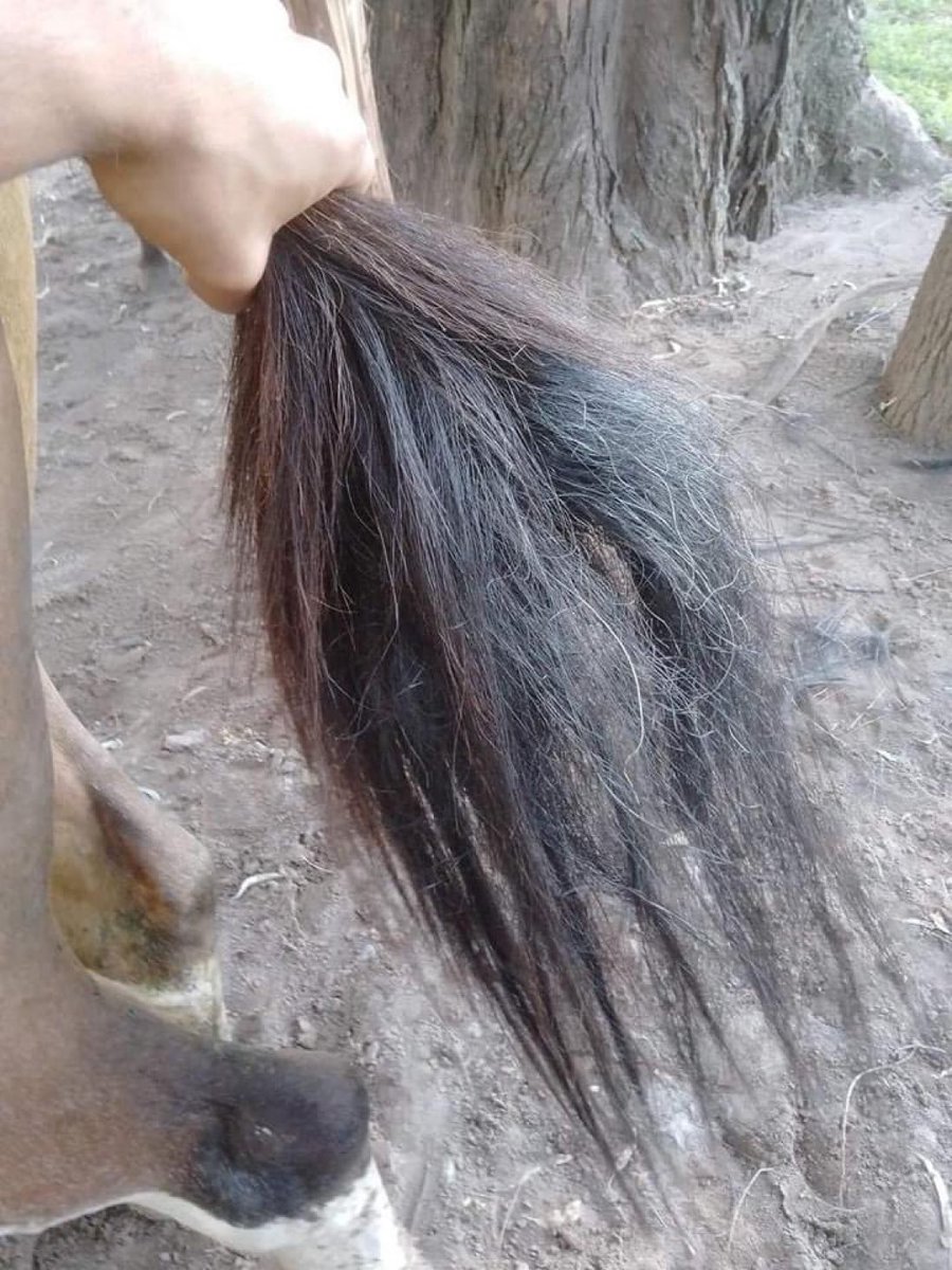 Así tenes el pelo y te haces la linda