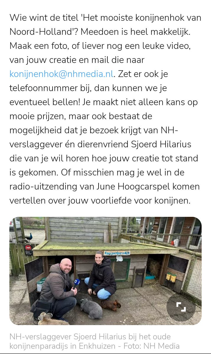 KonijnInNood's tweet photo. Goed dat dierenarts Annemarie Nibbelke zich zorgen maakt en zich uitspreekt!
Grootste bron van zorg is hun veel te krappe behuizing. Vooral in de grote steden wonen konijnen vaak te klein. Gelukkig zijn er ook veel mensen die een stuk diervriendelijker omgaan met hun huisdier. https://t.co/3vJxIoizU4