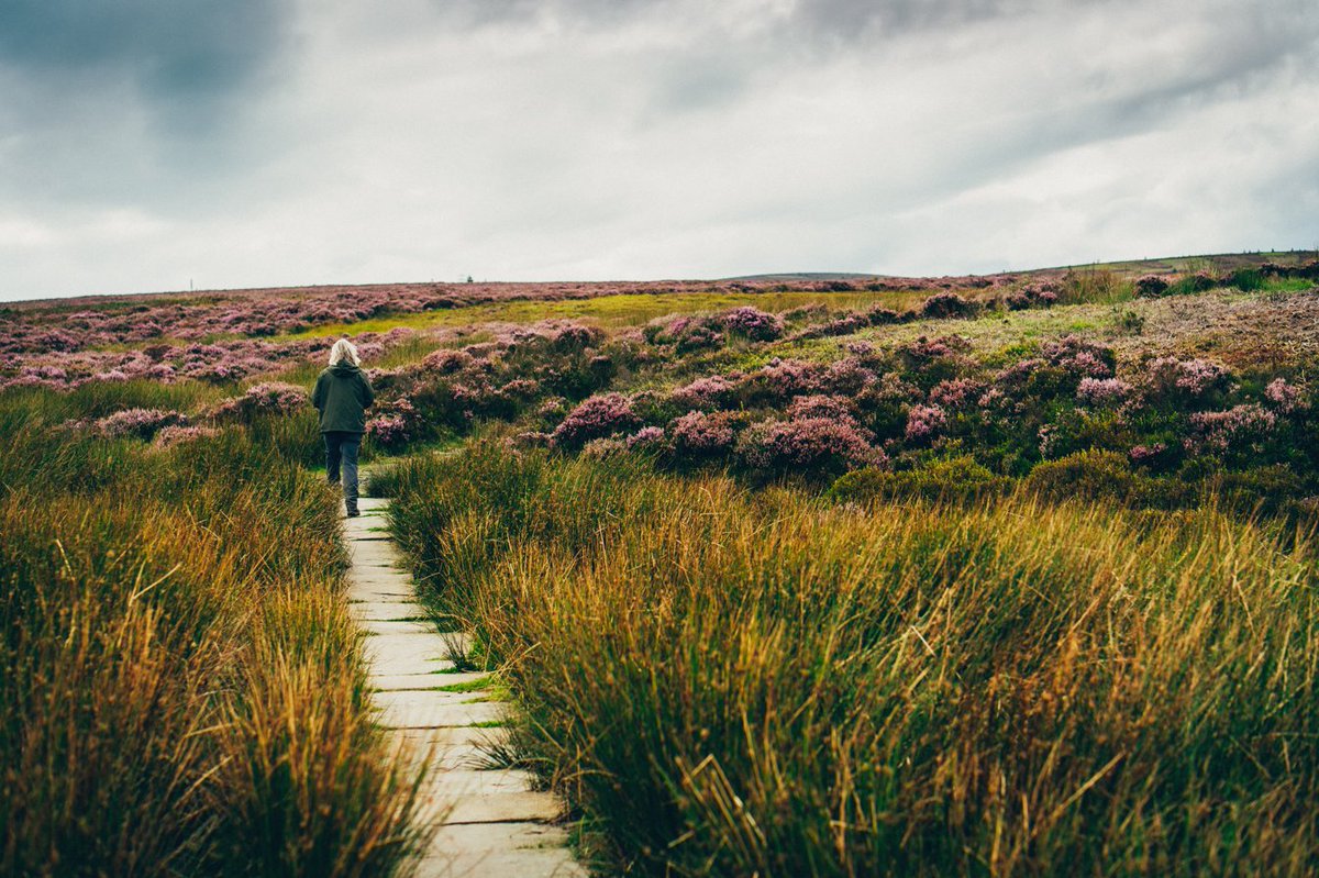 Only two more days until you can spend the weekend along Offa’s Dyke Path — you’ve got this!  🙌