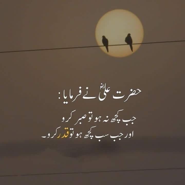 Aislamo alykom good night Sweet dareams 🌙
#BobbiAlthoff