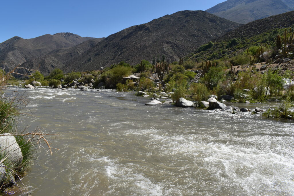 RÍO CHOAPA. La Junta de Vigilancia del Río Choapa y sus Afluentes informó que a partir de este lunes 18 de marzo la distribución de aguas en el Río Choapa se ajustó a una prorrata de un 18% para todos los usuarios titulares de DAA en esta fuente hídrica.
radioagricultura.cl/podcast/gestio…