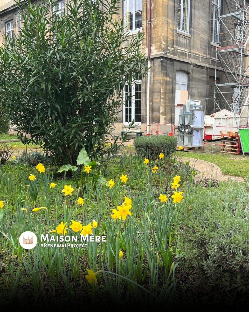 cmmaisonmere's tweet image. The renovation continues. Our efforts press on, aimed at better serving those in need. 

We will keep going, and we want you to join us.

We welcome your gift to help keep this renovation moving forward. 

cmmaisonmere.org/en/donate/

#CongregationOfTheMission #MaisonMère #FamVin