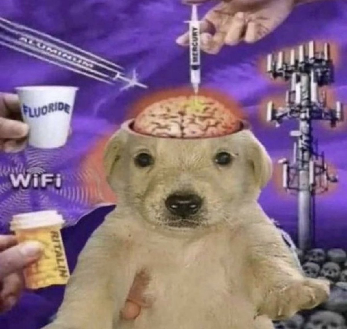 this is how it feels being overstimulated