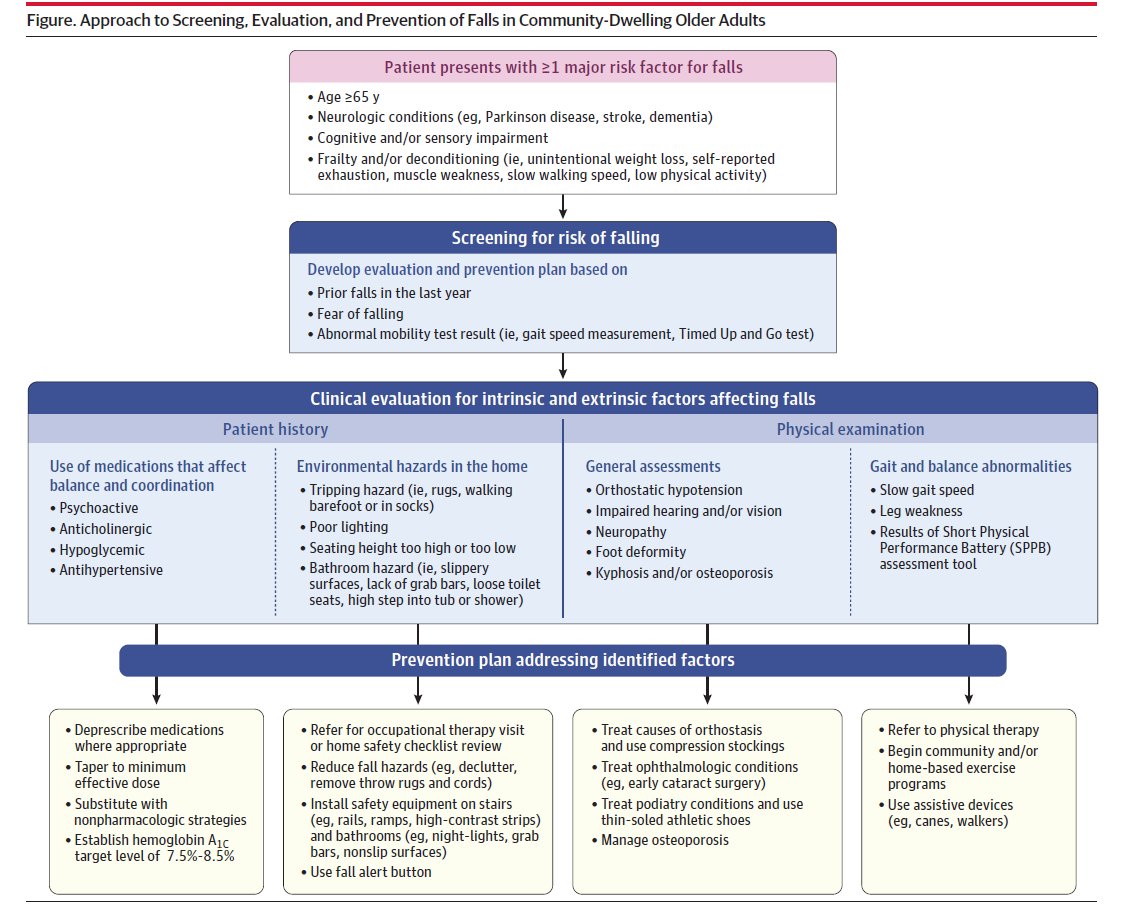 wjdeardorff's tweet photo. "Risk Assessment &amp; Prevention of Falls in Older Community-Dwelling Adults" (JAMA 2024) - ">25% of older adults fall each year &amp; falls are the leading cause of injury-related death in persons >65. Functional exercises &amp; tai chi decrease the risk of falls" - https://t.co/cSGKpQ1OSs https://t.co/bLcttCJZBt