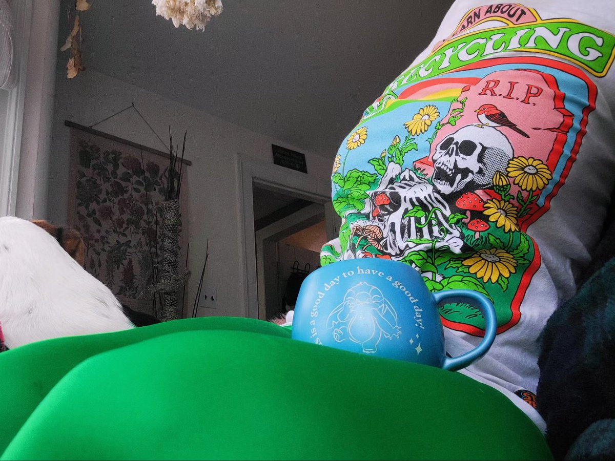 APixieAppears's tweet photo. You can't tell in this photo but these are @MyFreeCams pants and they're so wonderfully green. https://t.co/IOKxbgqLro