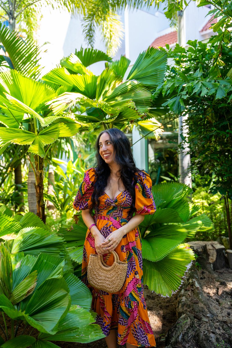 Sheraton Buganvilias tweet media