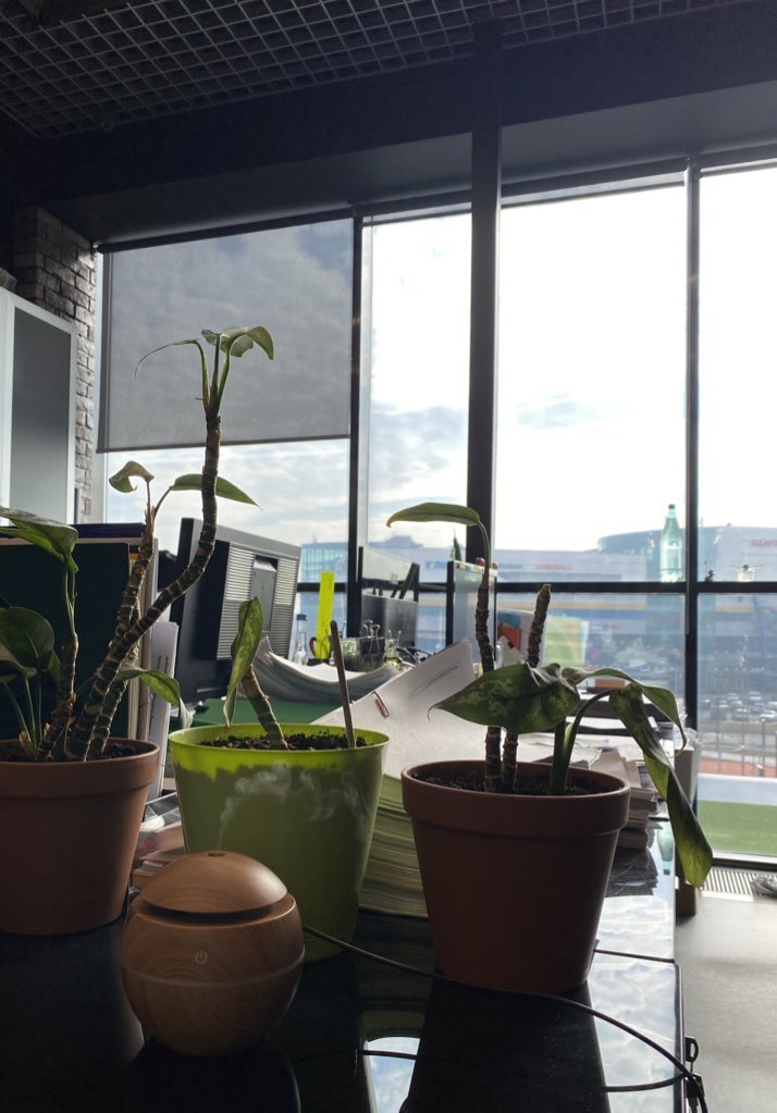 ♕ 𝑘𝑖𝑙𝑙𝑒𝑟 𝑠𝑡𝑒𝑟𝑒𝑜𝑡𝑦𝑝𝑒𝑠 ♕| пидору tweet media