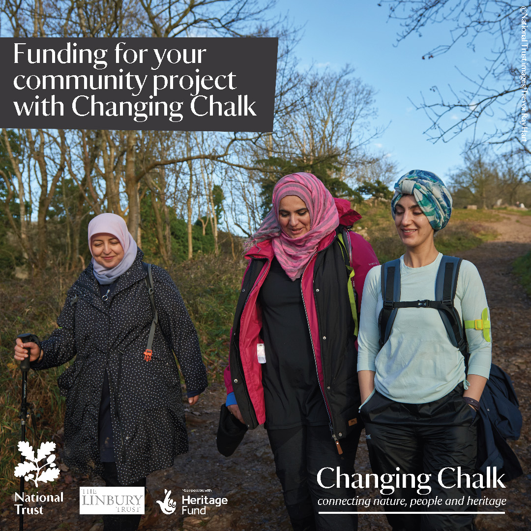 Are you a part of a group in the South Downs area that helps to protect species and biodiversity? Does your group find healing and inspiration in the local landscape? Apply for funding with our Community Grants Scheme.🦋Applications open now. bit.ly/ChangingChalkC…