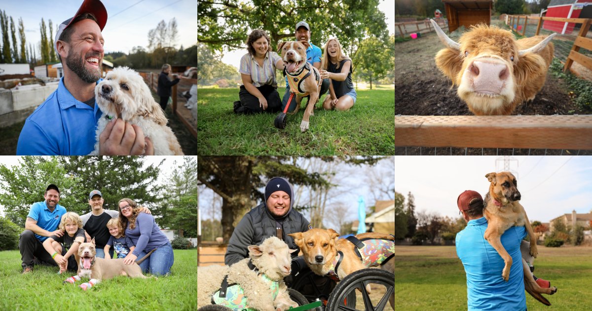 BYUtv's tweet photo. The @WizardofPawsTV photo dump. 📸 Each snapshot captures the joy Derrick and our animal friends share, turning challenges into triumphs! #WizardofPaws #WizardofPawsTV #BYUtv https://t.co/WSUlAFYRuq