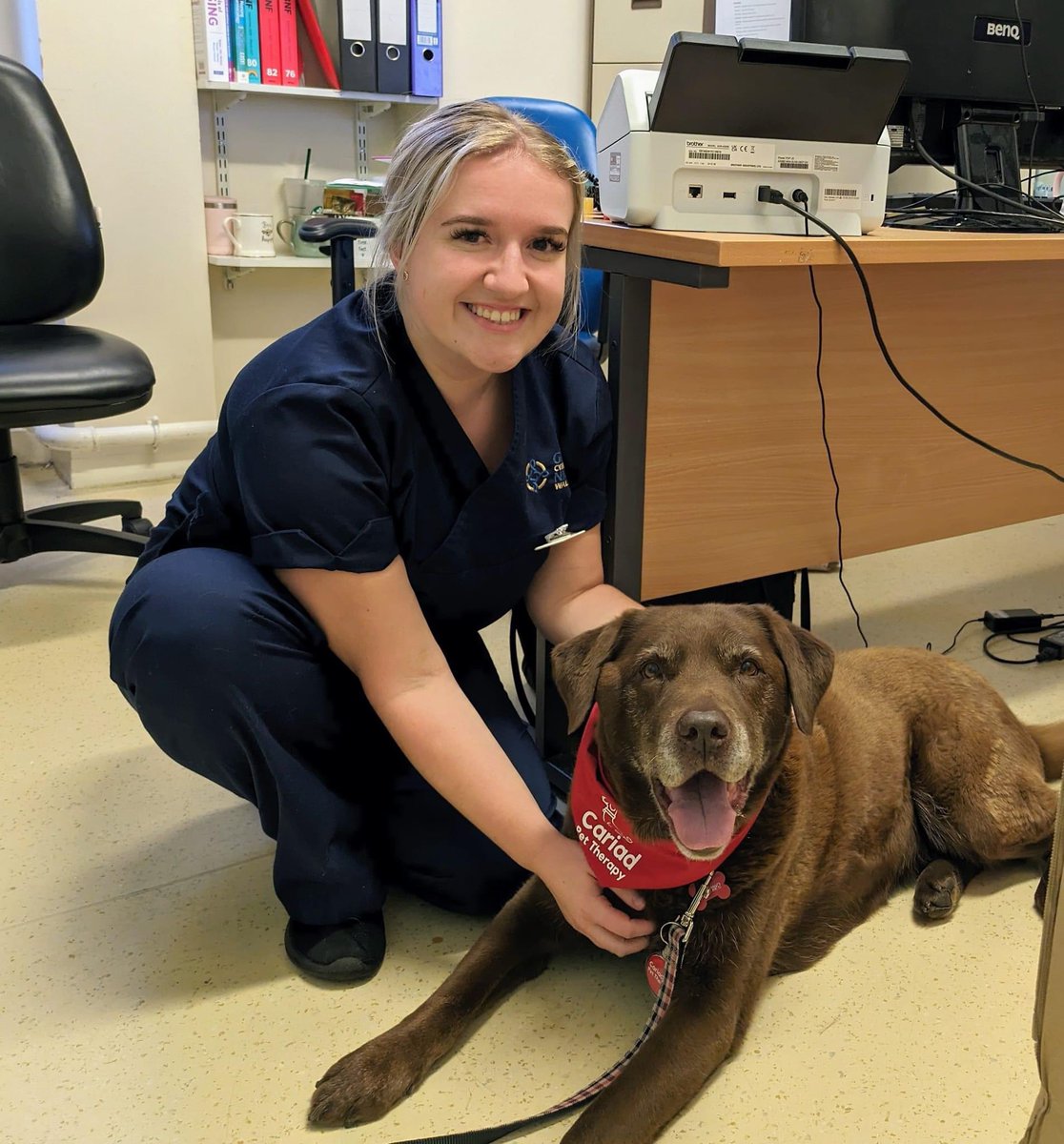 Cŵn Cymorth Cariad / Cariad Pet Therapy (@cariadpet) on Twitter photo Cassie spent is time with the Hywel Dda Health Board staff and patients 🤎🍫🐕🦺🐶❤️ <a href="/HywelDdaHB/">Hywel Dda UHB</a> Cassie spent is time with the Hywel Dda Health Board staff and patients 🤎🍫🐕🦺🐶❤️ <a href="/HywelDdaHB/">Hywel Dda UHB</a>